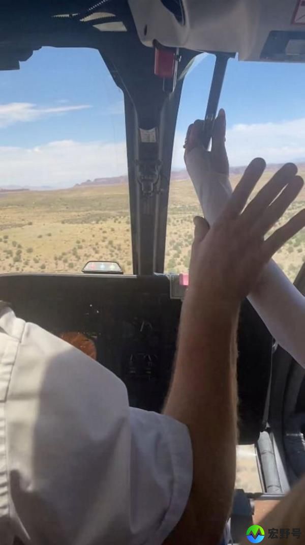 Pilot stops a passenger from grabbing a lever