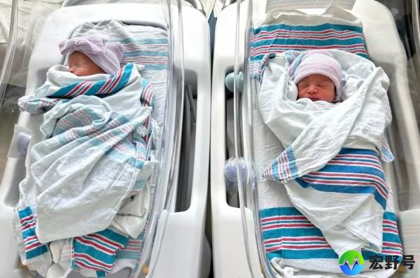 Newborn twins José Ervin III and Ar’ria Lannette Ervin are pictured in their hospital cribs.