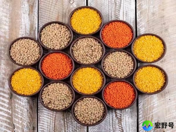 8月、9月季风减少或推高豆类和油籽价格