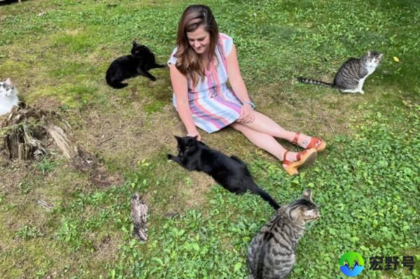Some of the cats with disabilities were not up for adoption at the sanctuary. 