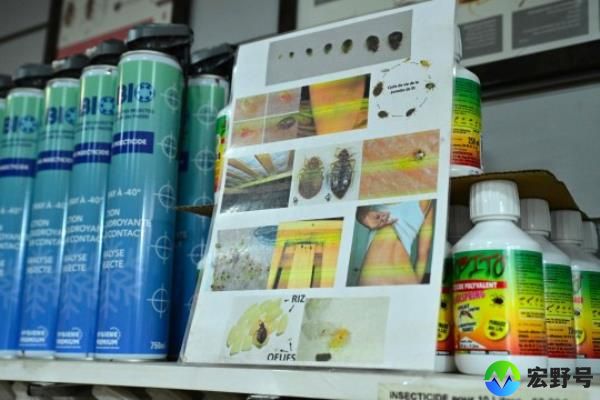 This photograph taken on October 3, 2023 shows different products used to eradicate bedbugs at the Hygiene Premium, pest co<em></em>ntrol shop in Paris. The French government said on September 29, 2023 that it was launching a co<em></em>ncerted effort to fight bedbugs that have appeared in numbers in public transport, cinemas and hospitals. The blood-sucking insects have been spotted in the Paris metro, high-speed trains and at Paris