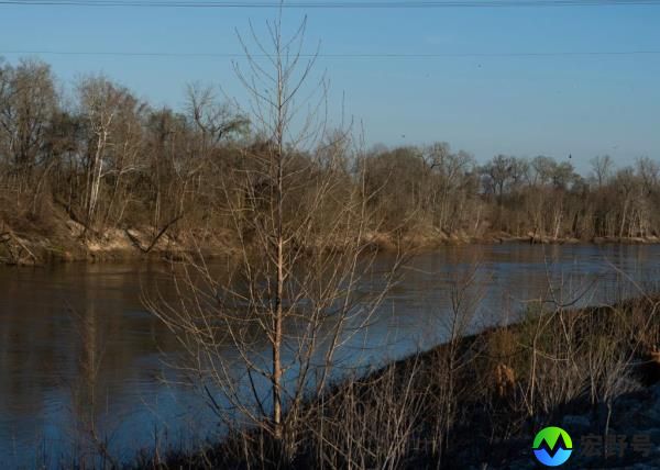 The Trinity River is seen near wher<em></em>e law enforcement found the body of 11-year-old Audrii Cunningham, Tuesday, Feb. 20, 2024, in Livingston, Texas
