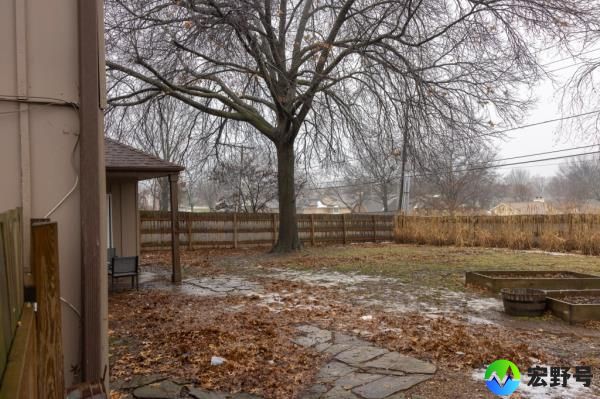 The house and back yard of Jordan Willis
