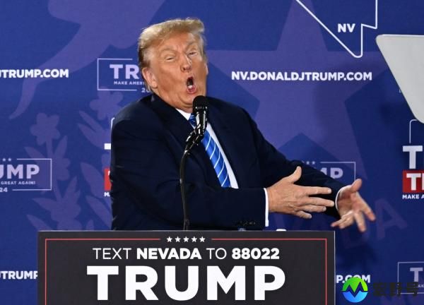 Do<em></em>nald Trump