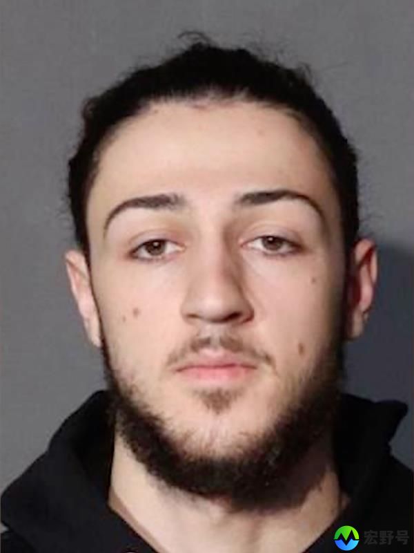 Anto<em></em>nio Ginestri, 19, is allegedly behind the popular 
