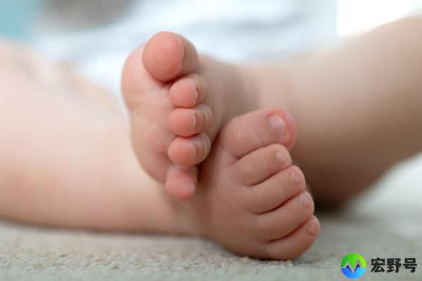 为什么整个欧洲的出生率都在下降？教皇呼吁意大利人多生孩子