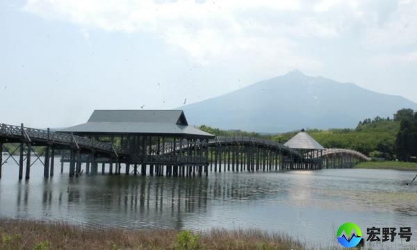 鹤野迈大桥：从旅游宝藏中回收木材废弃物