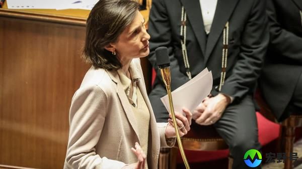 法国人：埃马纽埃尔·马克龙(Emmanuel Macron)将“冲突”归为“私人”和“公共”