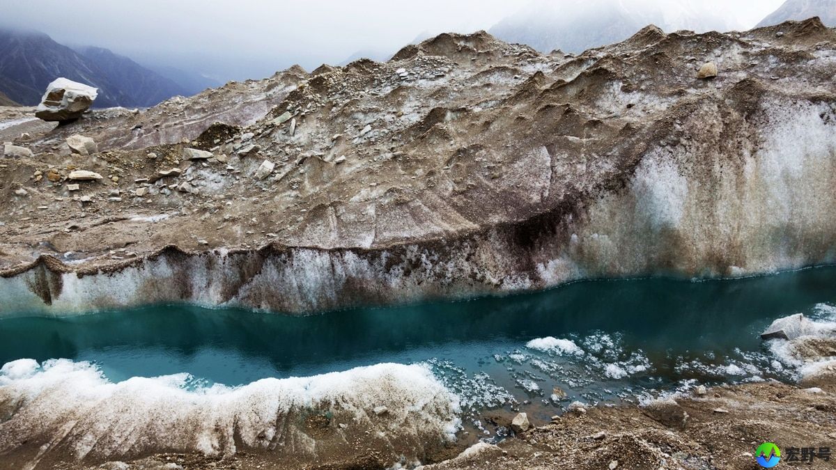 Arctic