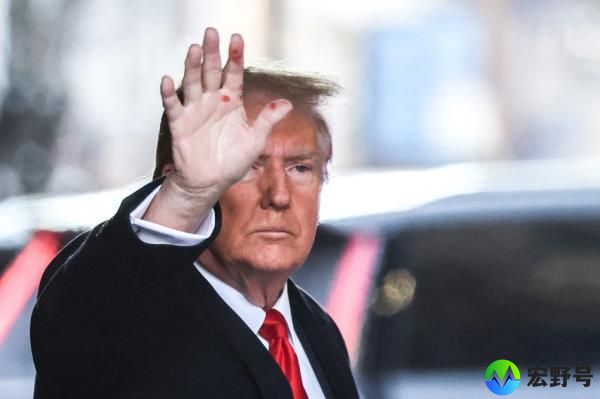 Do<em></em>nald Trump waving.