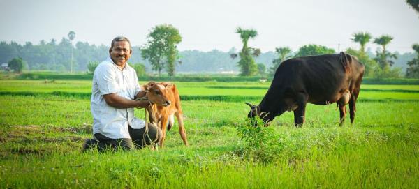 A proud farm owner, Selvan struggled to sustain his livestock during the eco<em></em>nomic crisis in Sri Lanka.