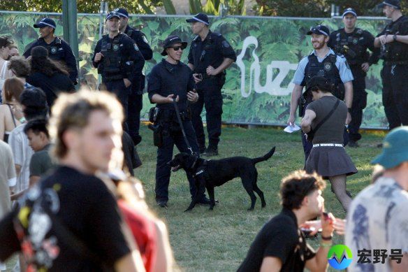 Police and sniffer dogs at the Listen Out festival at Sydney’s Centennial Park in September.