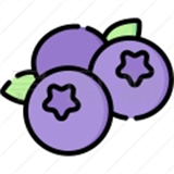 蓝莓音乐极速版app下载v1.0-蓝莓音乐极速版下载最新版