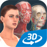 HumanBody软件中文版下载-HumanBody3D最新版下载v1.0安卓版