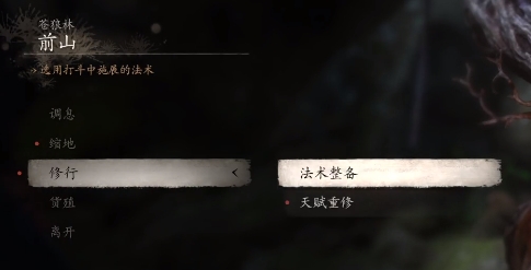 黑神话悟空怎么洗点