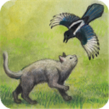 米洛和喜鹊2025游戏下载-米洛和喜鹊下载最新版v1.0.6