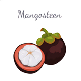 山竹社区安卓下载-山竹社区2024app下载v3.1.8